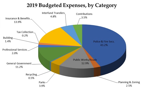 2019 Expenses Pie Chart image