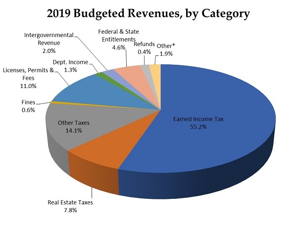 2019 Revenues Pie Chart image