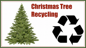 Christmas Tree Recycling image