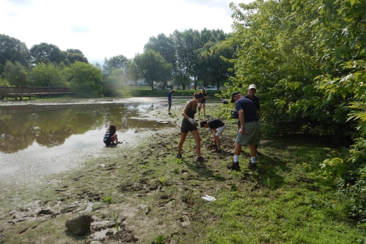 Saylor Park Water Quality Facility Planting - July 11, 2020