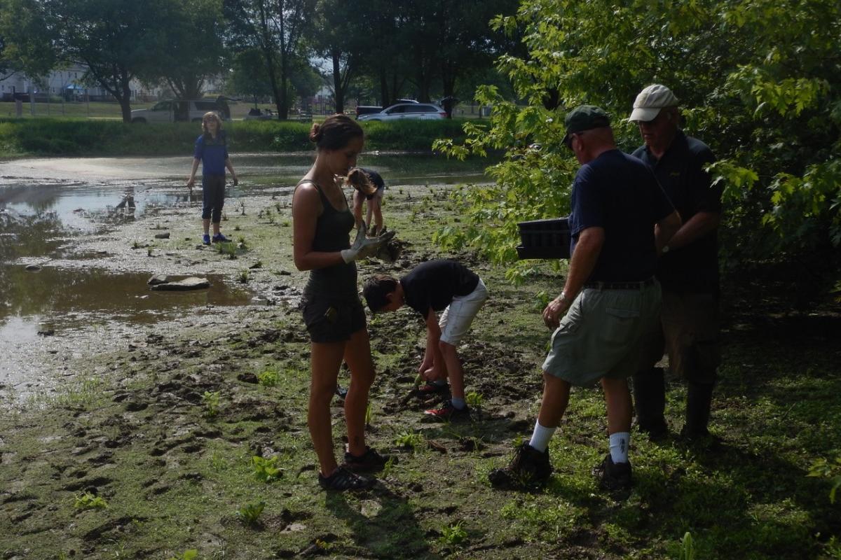 Saylor Park Water Quality Facility Planting - July 11, 2020