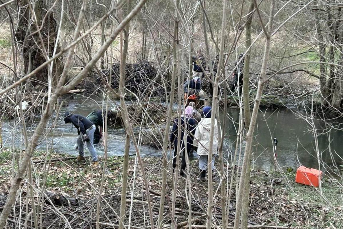2023 Stream Clean-up day photo